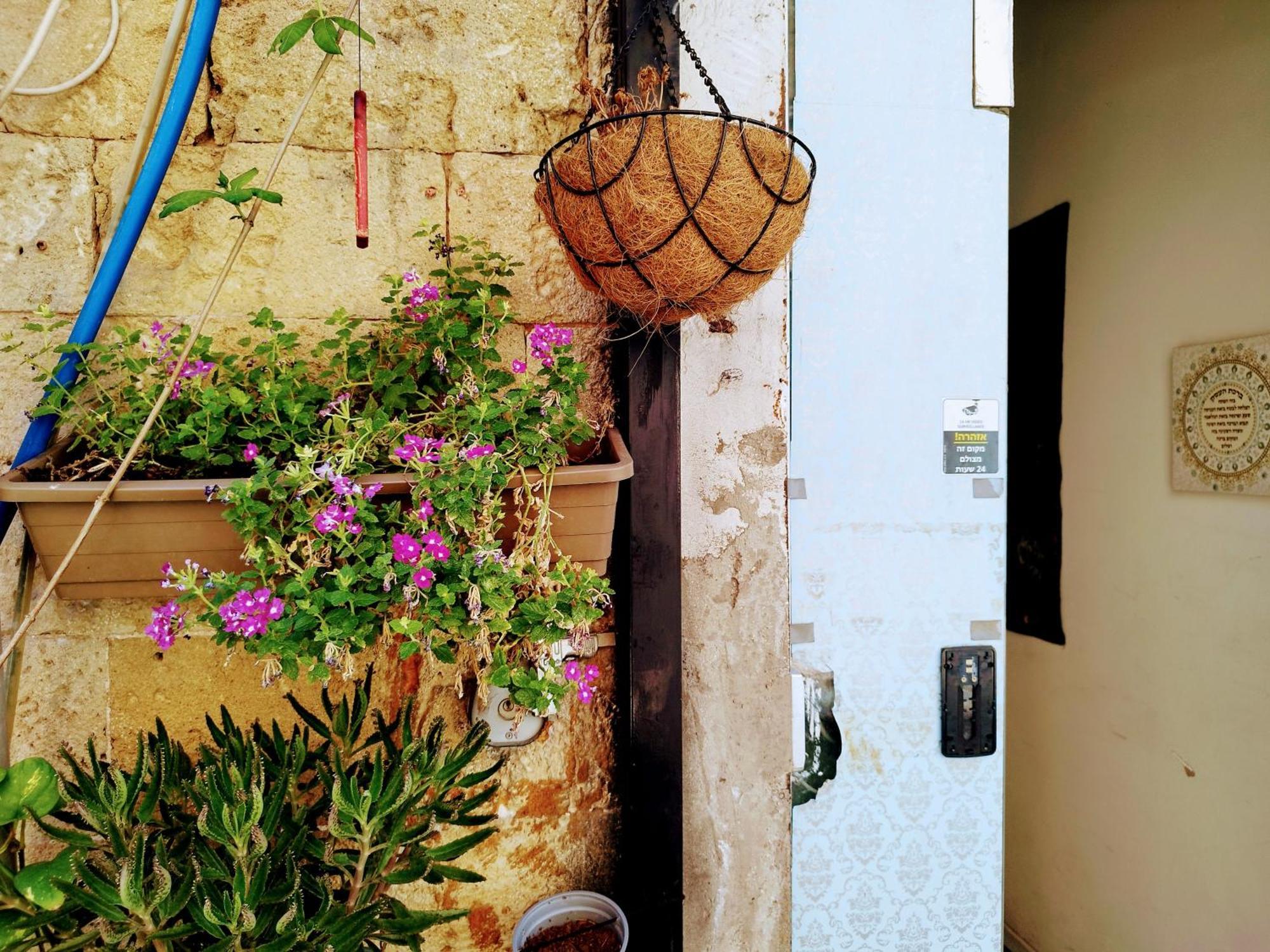 Ostello Polihosts Old Jaffa Tel Aviv Esterno foto